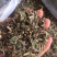 薄荷