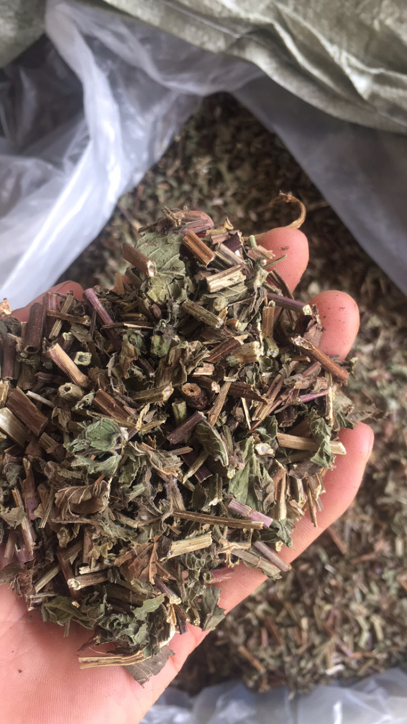 薄荷