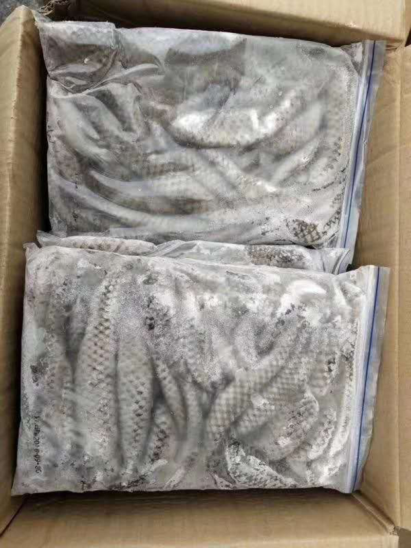 原味鱼皮，新鲜活鱼原料制作、口感脆爽