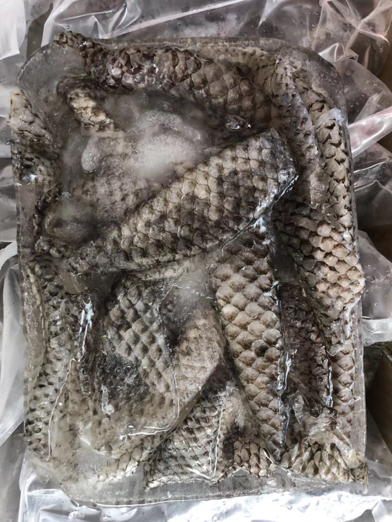 原味鱼皮，新鲜活鱼原料制作、口感脆爽