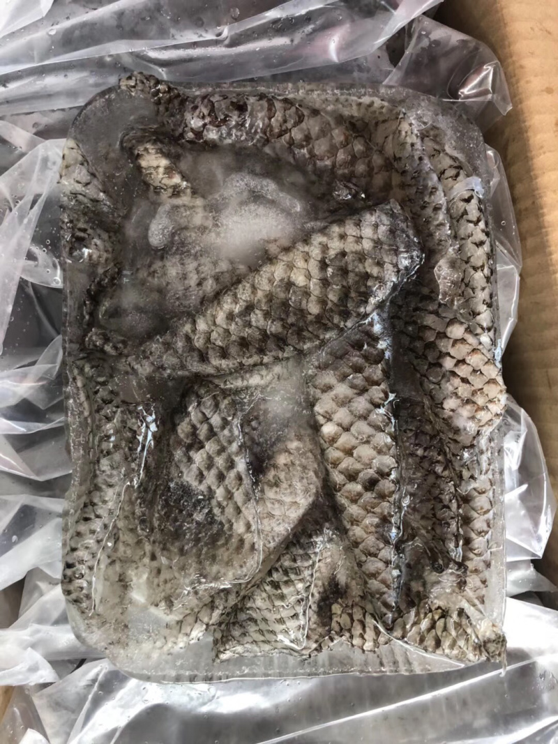 原味鱼皮，新鲜活鱼原料制作、口感脆爽