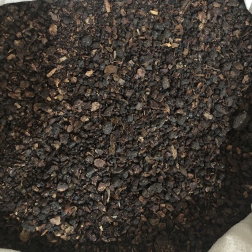 【舜波中药材】没药量大从优