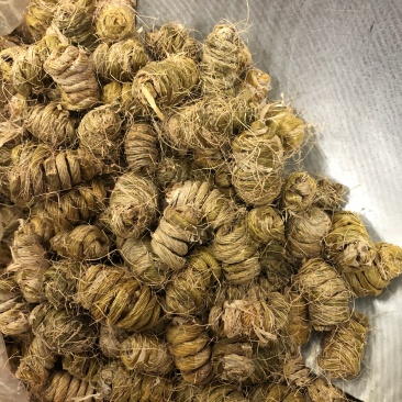 铁皮石斛枫斗可免费打粉胶质满溢汁多渣少颗粒干条