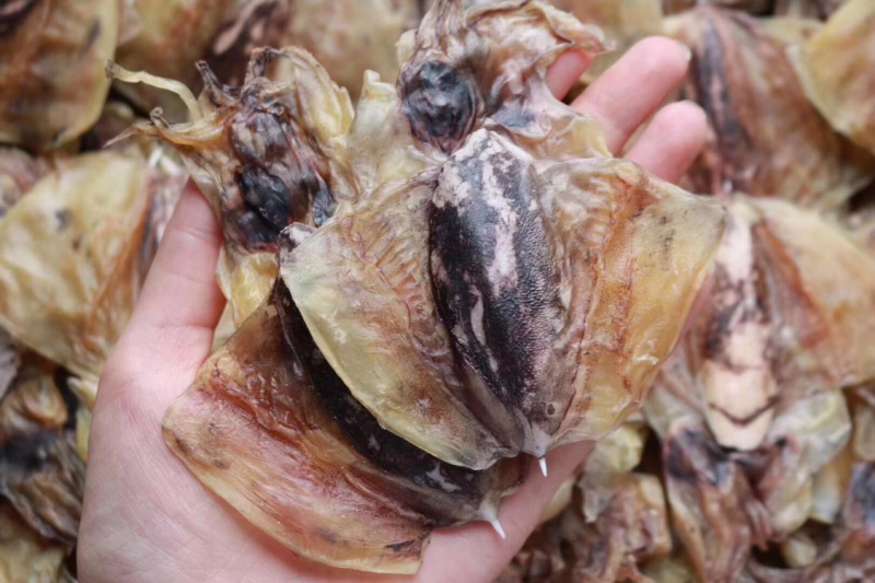 特价小小墨鱼干纯淡干香味浓