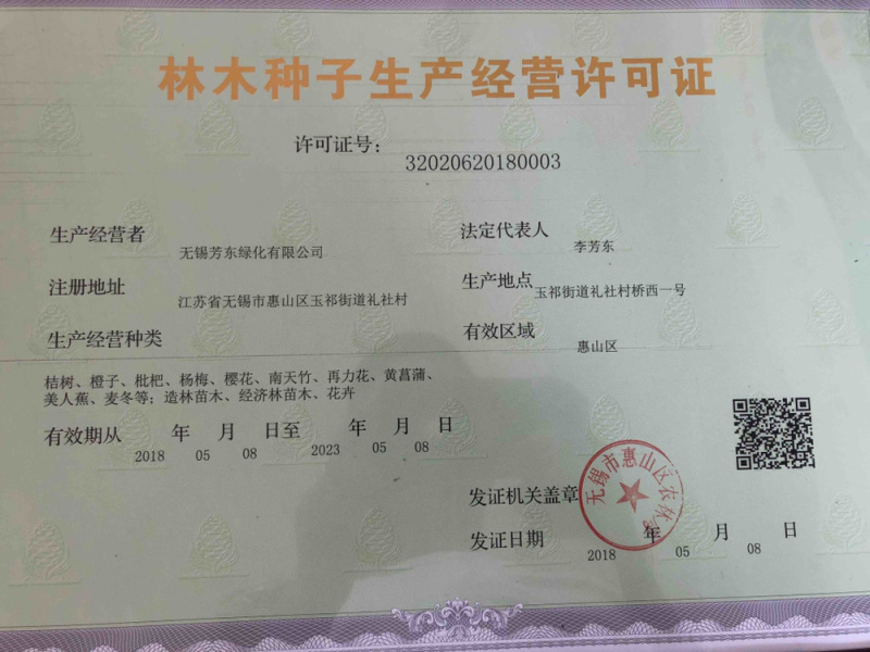 草坪草坪种子黑麦草种子进口黑麦草种子生态护坡种子耐寒四季