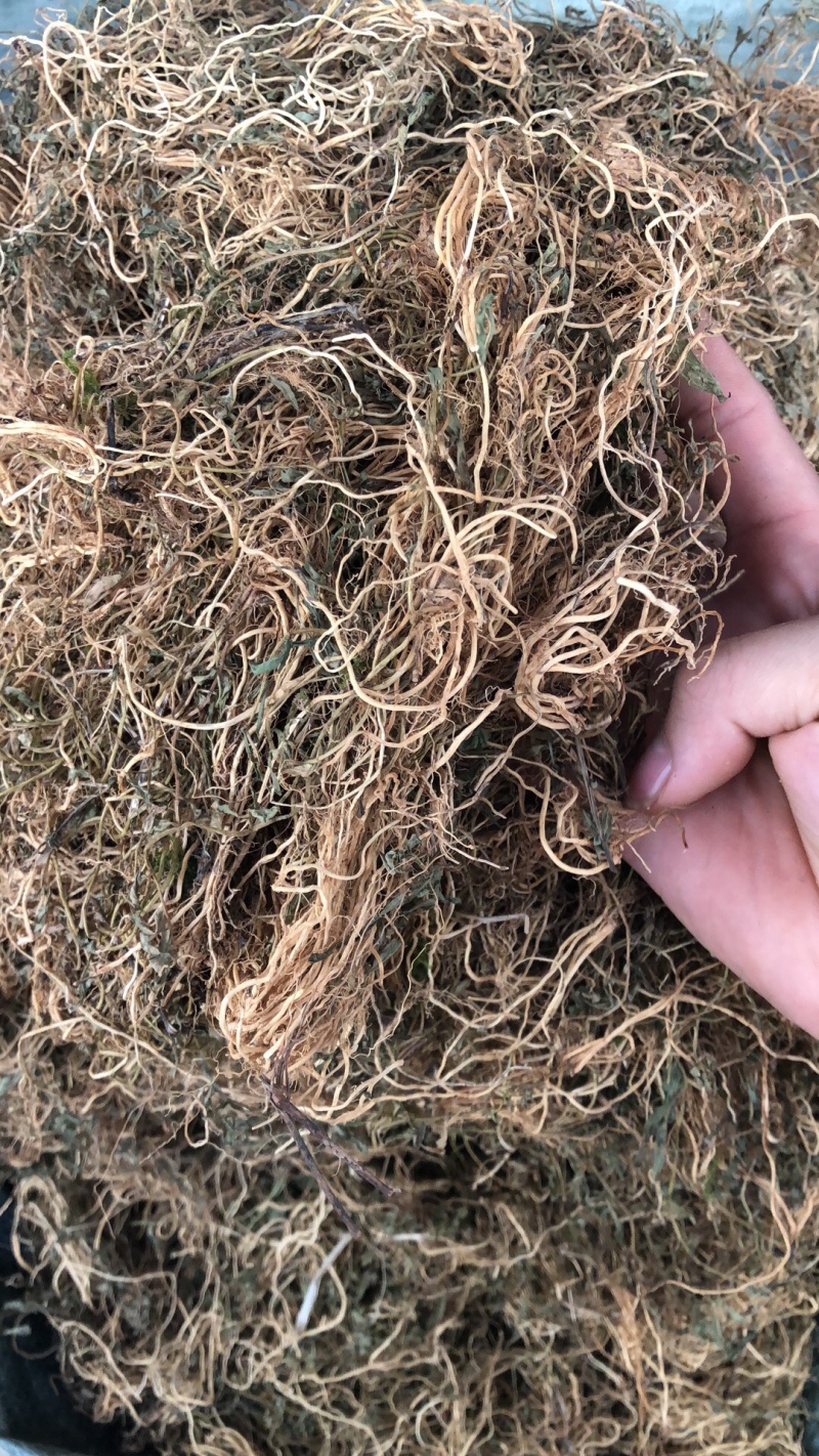 半边连新货野生的颜色好货质量保证