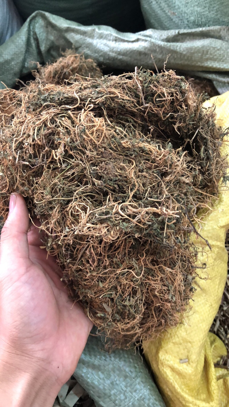 半边连新货野生的颜色好货质量保证