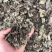 络石藤广西野生货条子切片都有