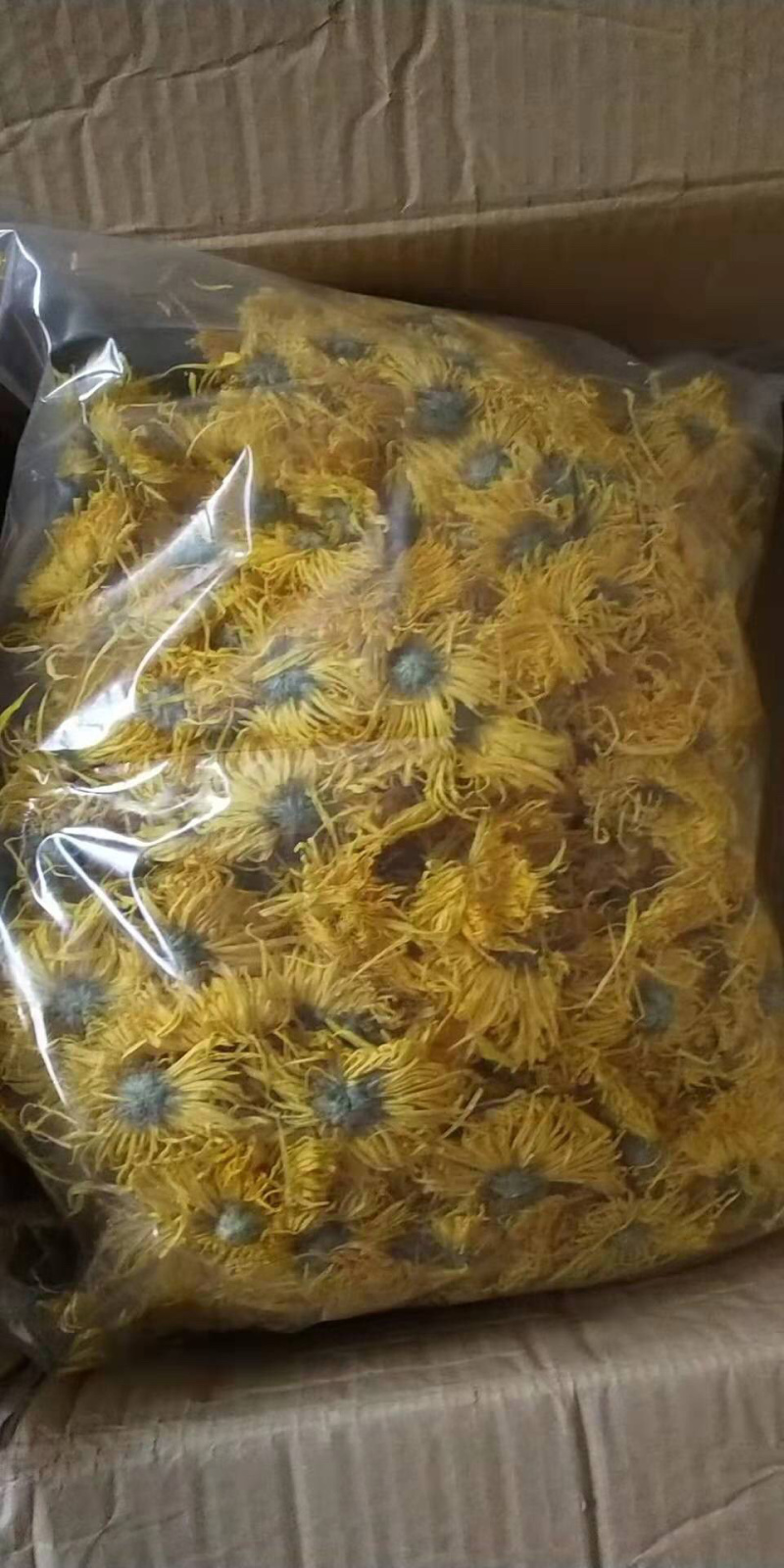 菊花茶