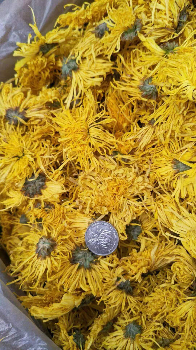 菊花茶