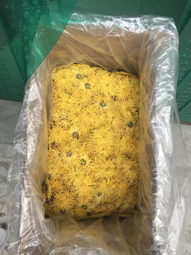 菊花茶