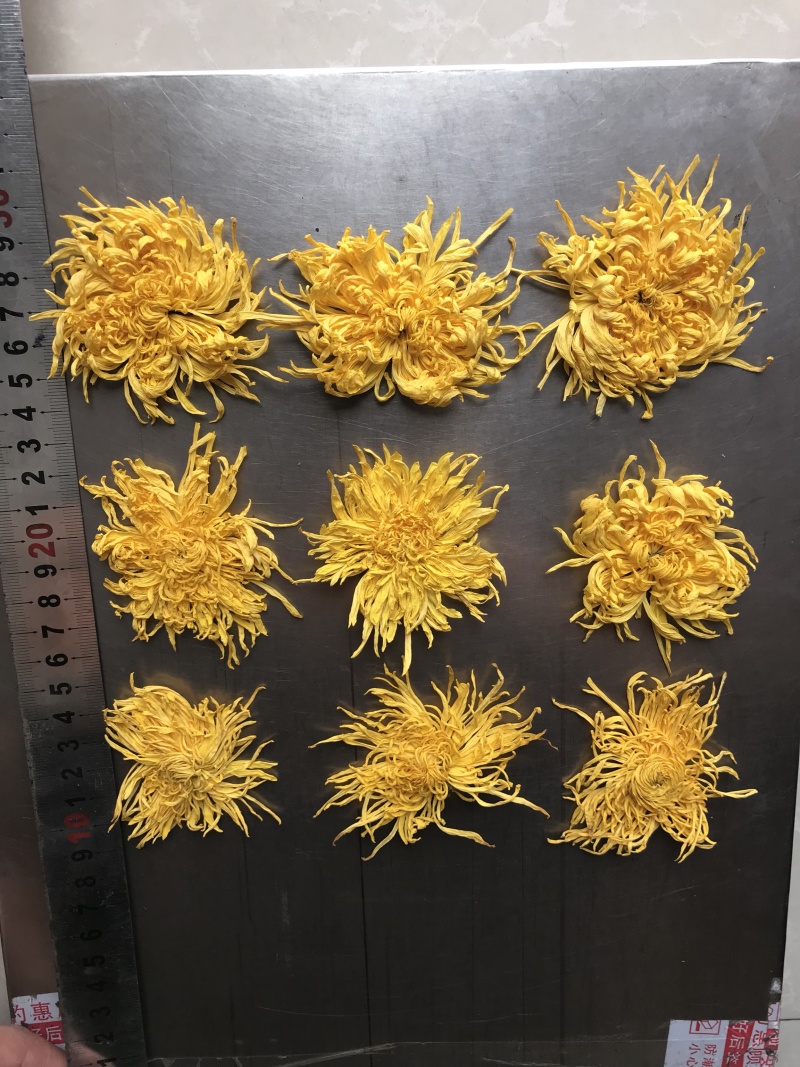 菊花茶