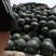 ✶黑无籽西瓜✶10斤打底大量现货可协助找车个头均匀