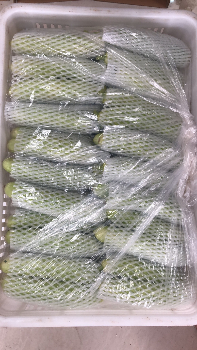 正宗海阳白玉黄瓜白黄瓜水果小黄瓜旱黄瓜青瓜