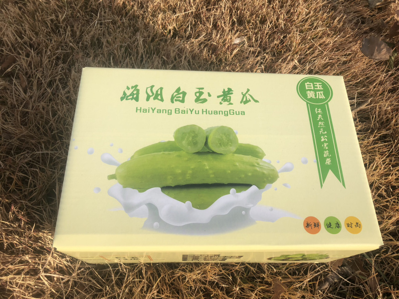 正宗海阳白玉黄瓜白黄瓜水果小黄瓜旱黄瓜青瓜