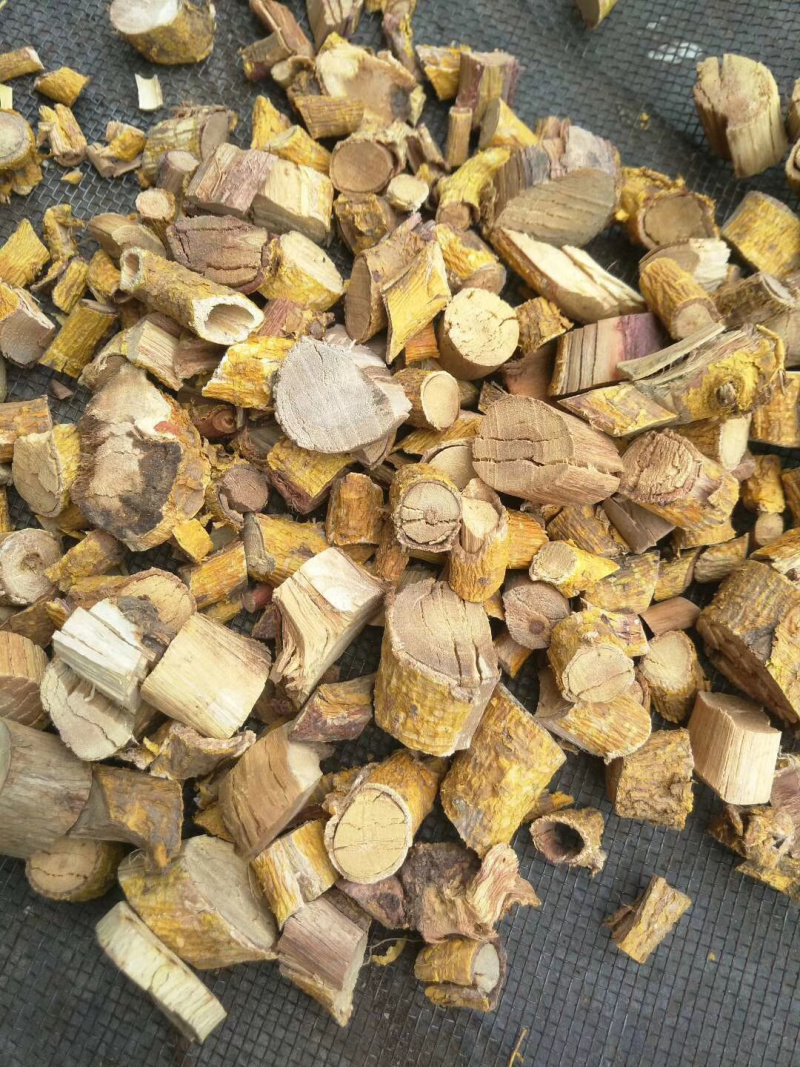 中药材穿破石根，批发中药材，冷背药材，原料药，中药细粉