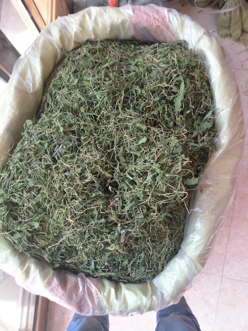 冷背药材一枝箭，冷背药材，原料药，零售海粉