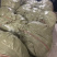 土工布毛毡大棚保温棉黑心棉铺路施工保湿养护毯包开发票