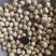 手工莲子，无硫莲子，批发花草茶，OEm贴牌代加工