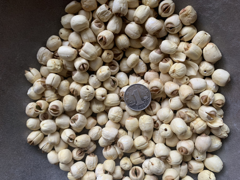 手工莲子，无硫莲子，批发花草茶，OEm贴牌代加工