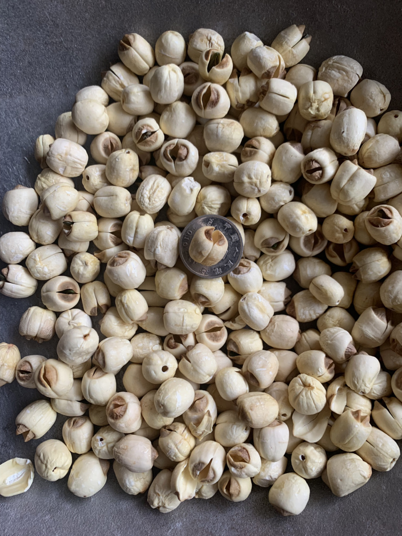 手工莲子，无硫莲子，批发花草茶，OEm贴牌代加工
