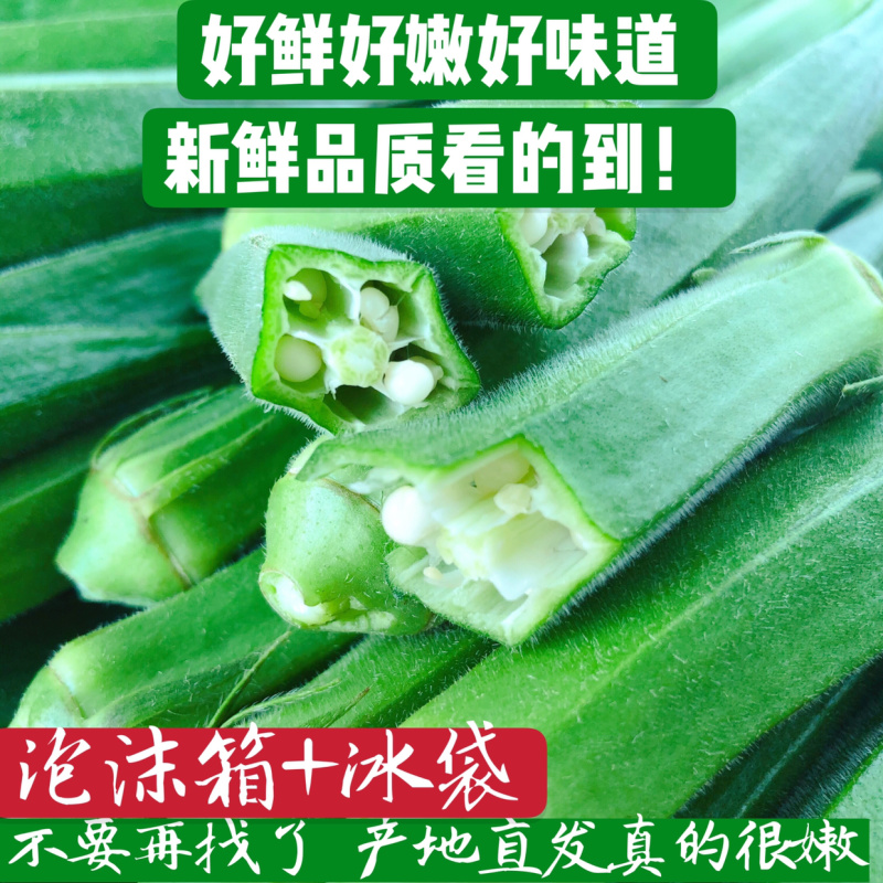 新鲜秋葵2斤包邮一件代发诚信招代理