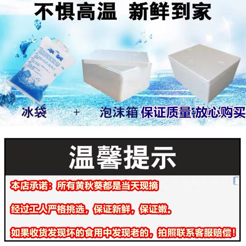 新鲜秋葵2斤包邮一件代发诚信招代理