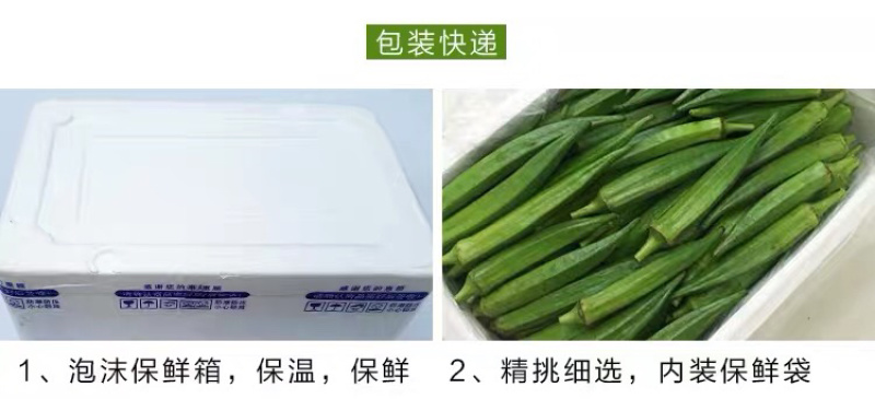 新鲜秋葵3斤包邮，一件代发，诚信招代理