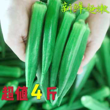 新鲜秋葵4斤包邮一件代发无公害农家水果秋葵诚信招代理