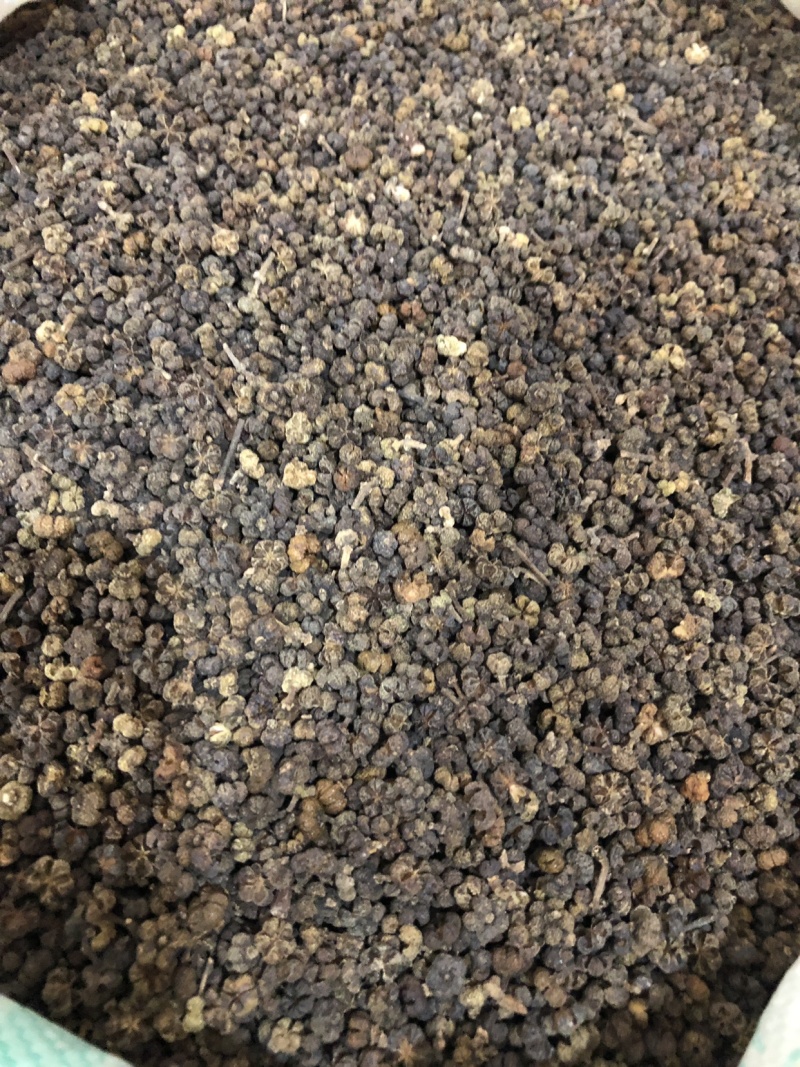【舜波中药材】吴茱萸中花量大从优