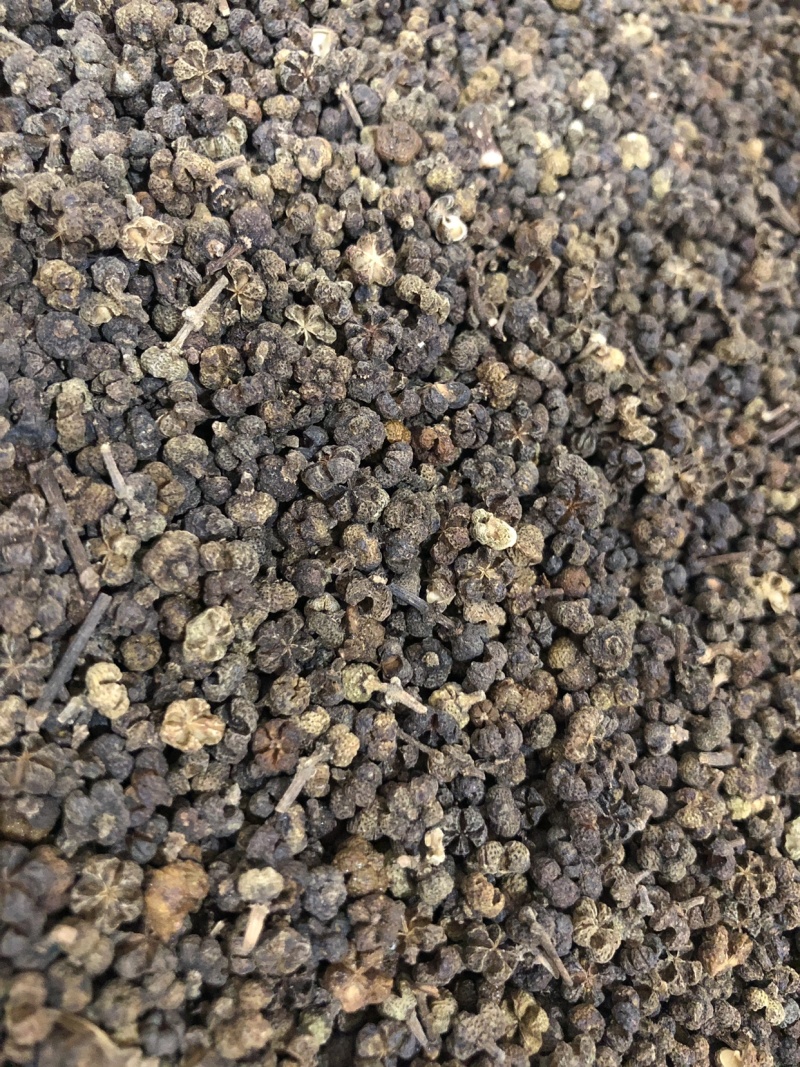 【舜波中药材】吴茱萸中花量大从优