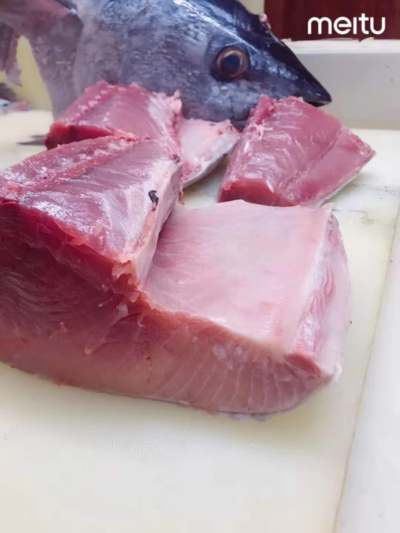 澳洲蓝鳍金枪澳大利亚蓝鳍金枪