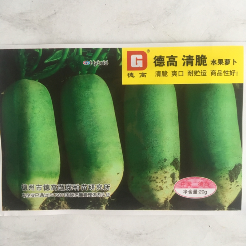 德高清脆水果萝卜种子杂交种甜脆花叶水果青萝卜种子抗病