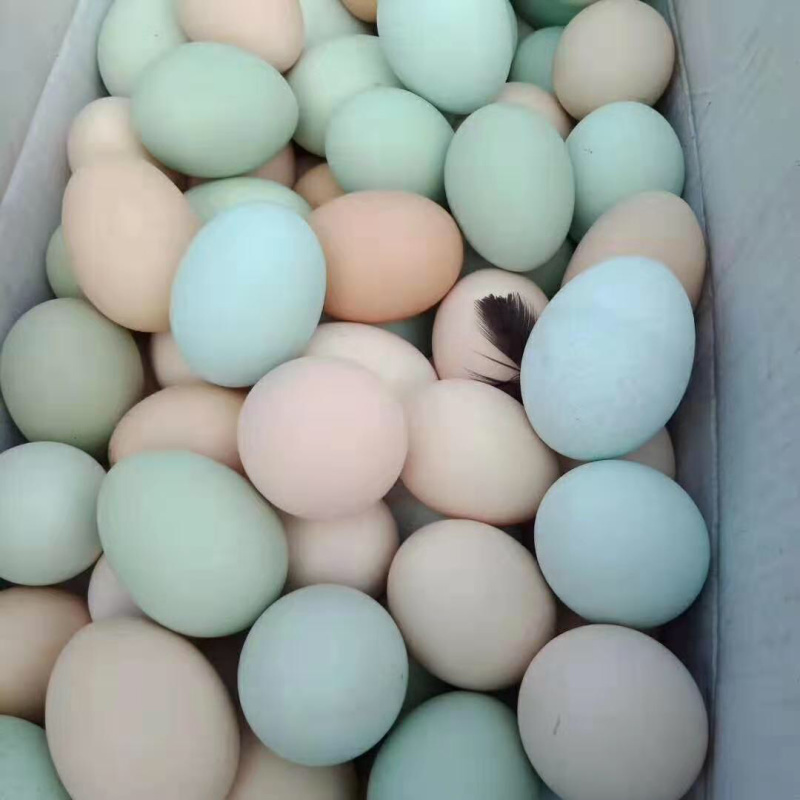 土鸡蛋