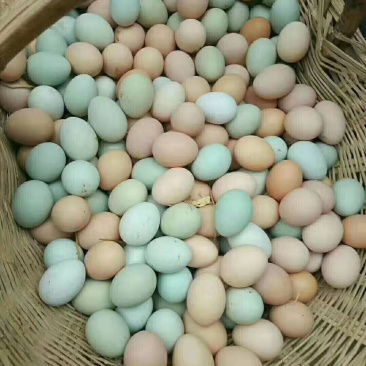 土鸡蛋