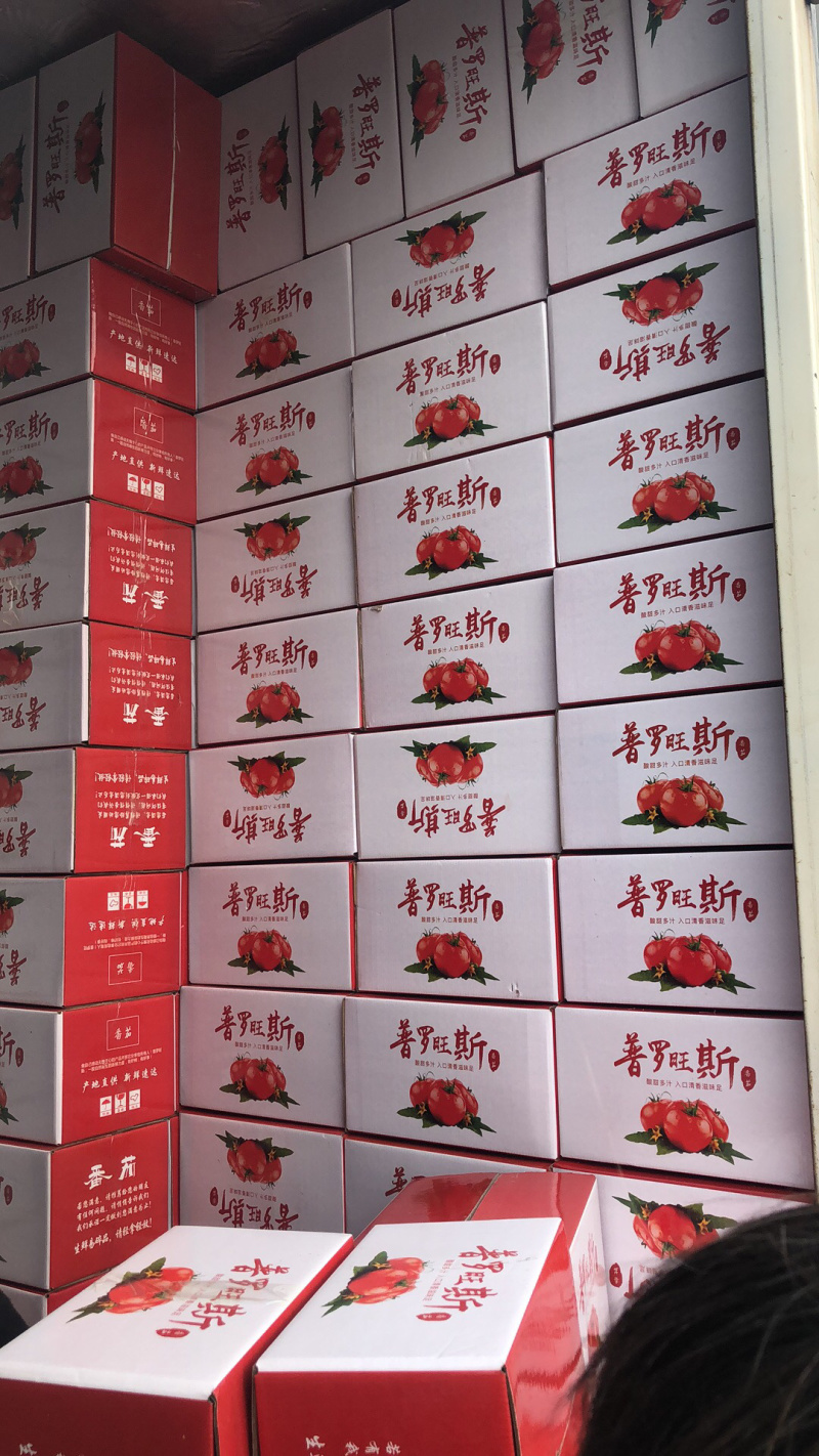 山东海阳精品海阳普罗旺斯西红柿番茄一件代发落地配