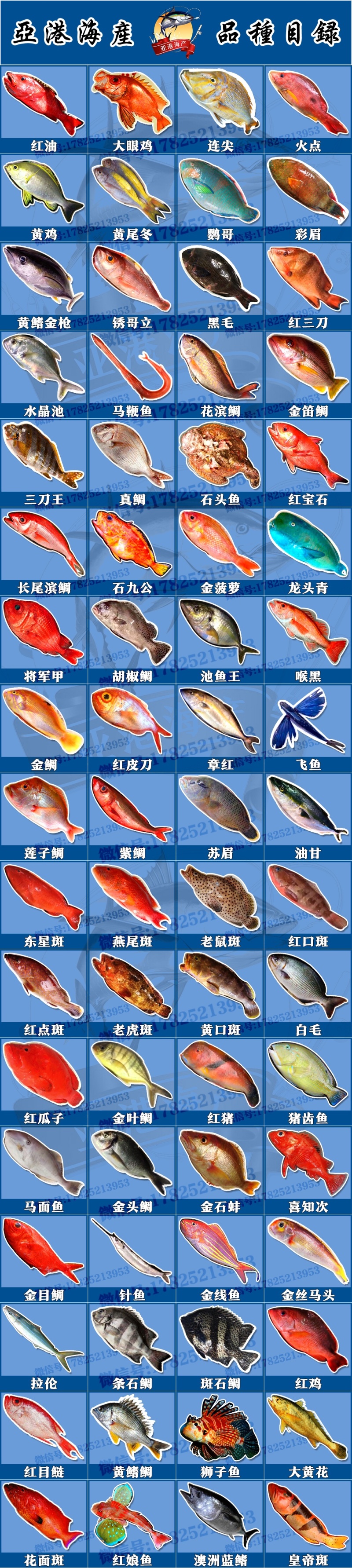 红油红友海钓深海本地海港海鱼冰鲜鱼预定当天发货大量批发