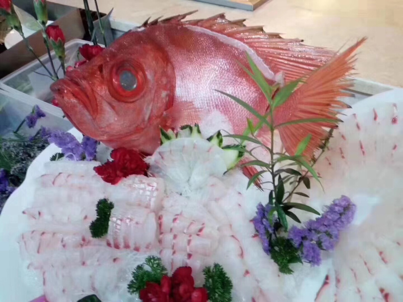 大眼鸡钓口深海鱼海钓鱼野生刺身日料食材