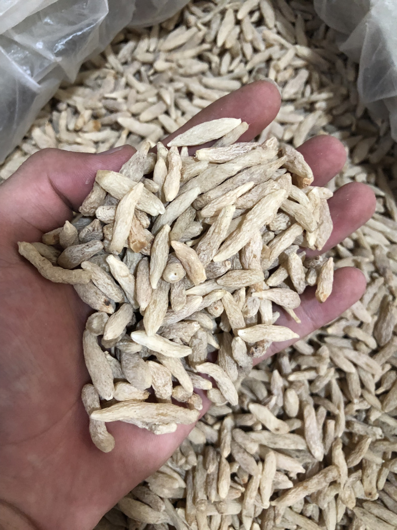 【舜波中药材】川麦冬。量大从优