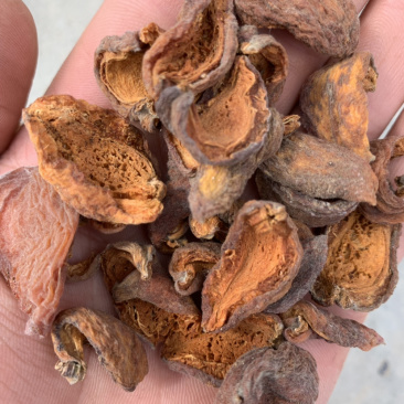 杏干，精品杏干，产地直发，对接全国各地客户