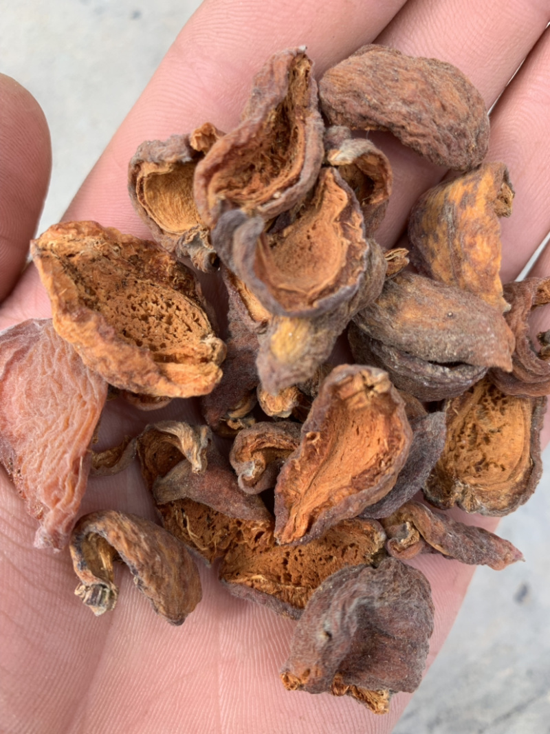 杏干，精品杏干，产地直发，对接全国各地客户