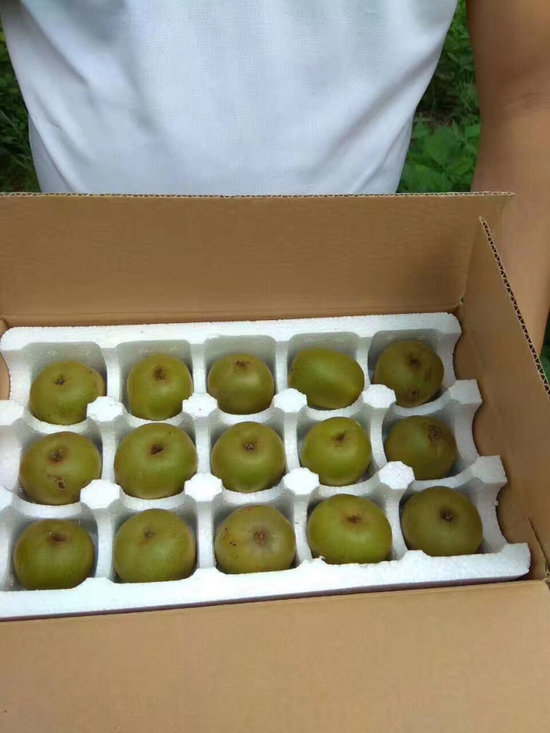 张家界红石林红心猕猴桃