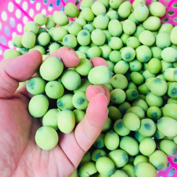 一件代发冷链包邮莲子现剥嫩莲子生吃泡沫箱发货