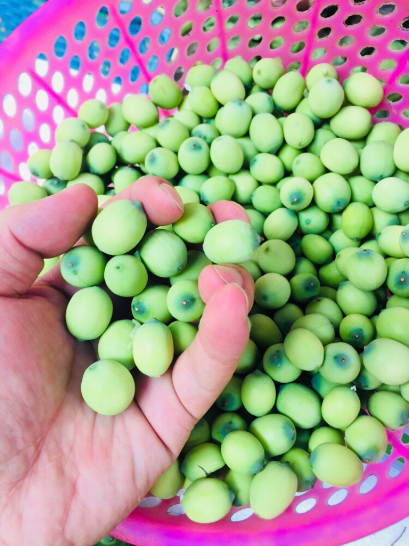 一件代发冷链包邮莲子现剥嫩莲子生吃泡沫箱发货