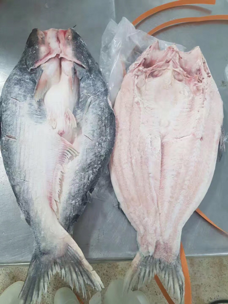 巴沙鱼柳、带皮、去皮，开背鱼