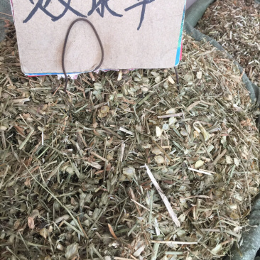 中药材新货白花败酱草条子