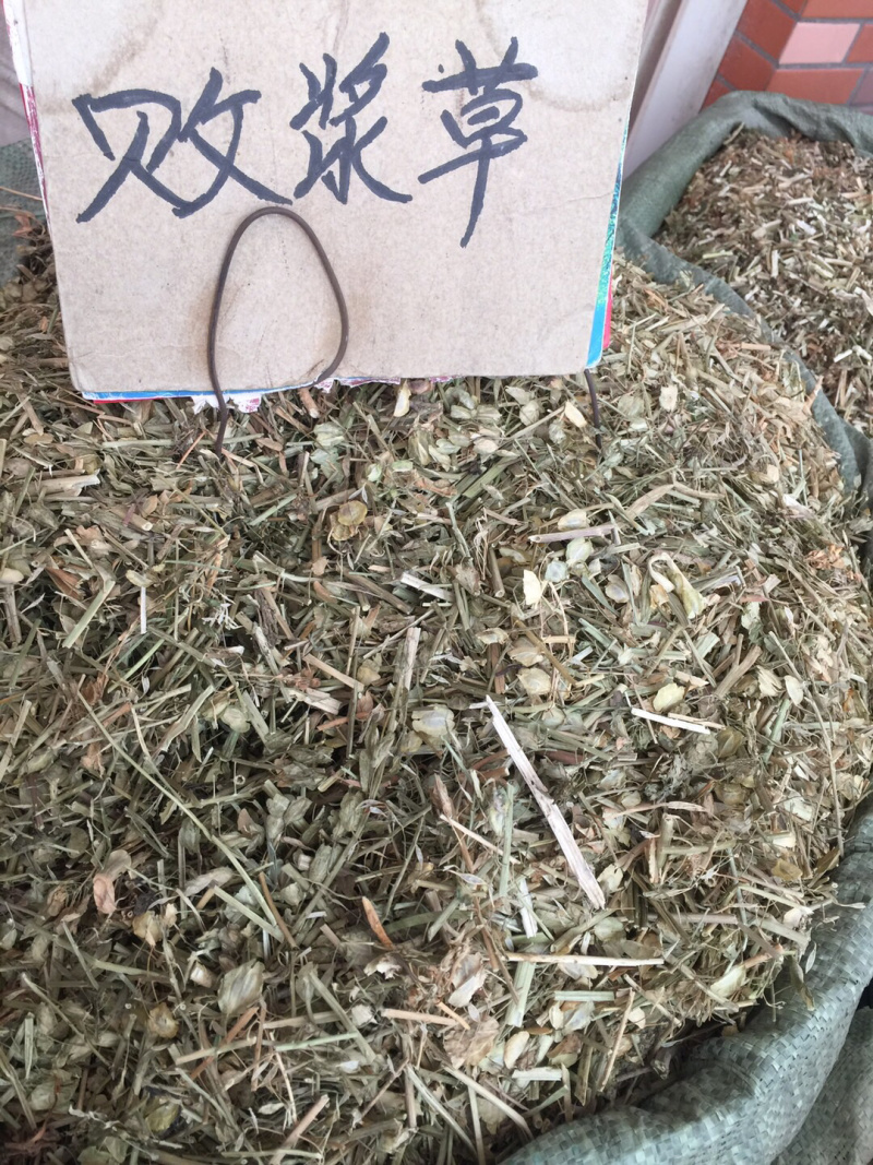 中药材新货白花败酱草条子