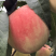 蒙阴蜜桃