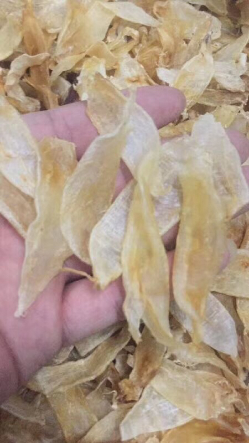 缅甸黄花胶220头/斤足干