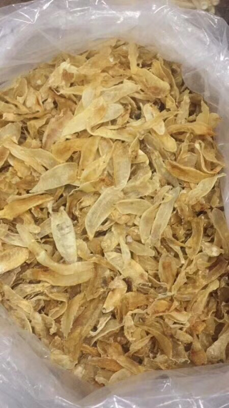 缅甸黄花胶220头/斤足干